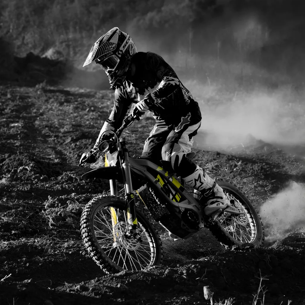 Light bee x voltxmotors